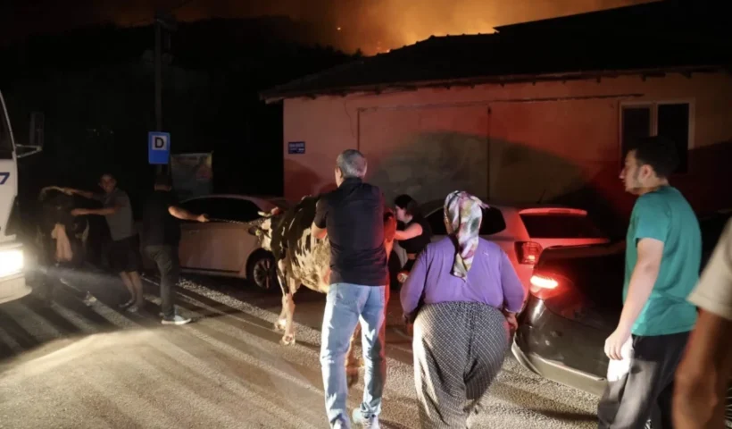 Aksu Karaöz’de orman yangını: Havadan ve karadan yoğun müdahale