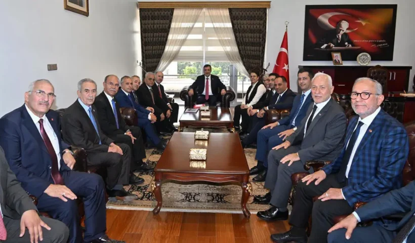 Cumhurbaşkanı Yardımcısı Cevdet Yılmaz Osmaniye'de