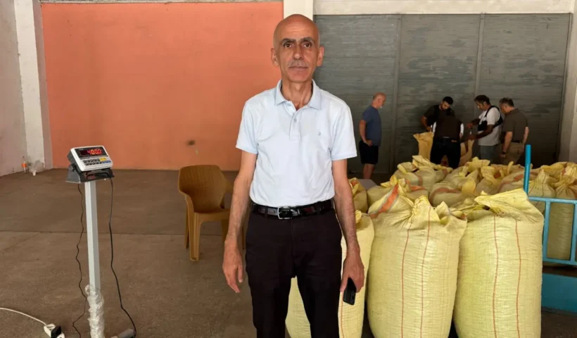 Fındık için açıklanan 2026 yılı rekoltesi gerçeği yansıtmıyor