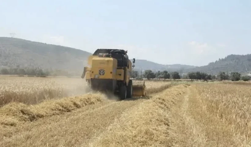 Tarım-ÜFE ağustosta yüzde 0,93 geriledi